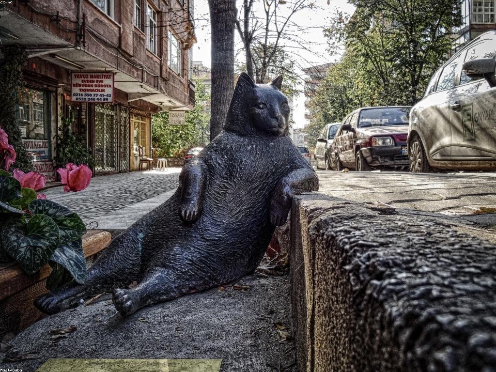 សំណួរញឹកញាប់អំពីអាជីវកម្ម