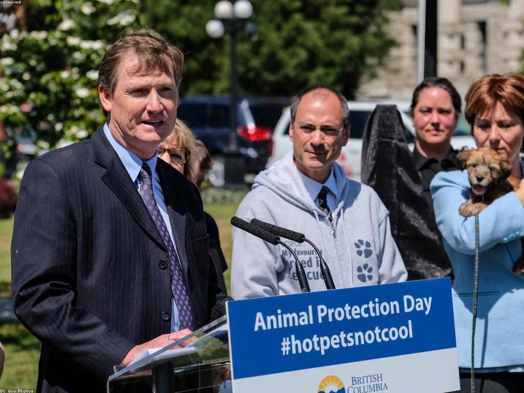 គន្លឹះសុវត្ថិភាពសម្រាប់សត្វ