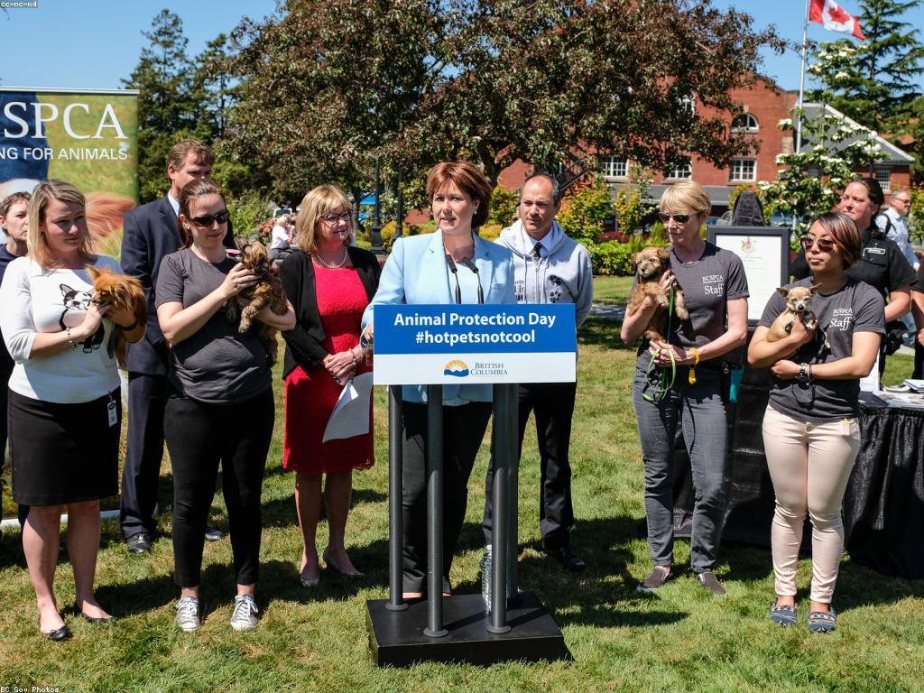 គន្លឹះសុវត្ថិភាពសម្រាប់សត្វ