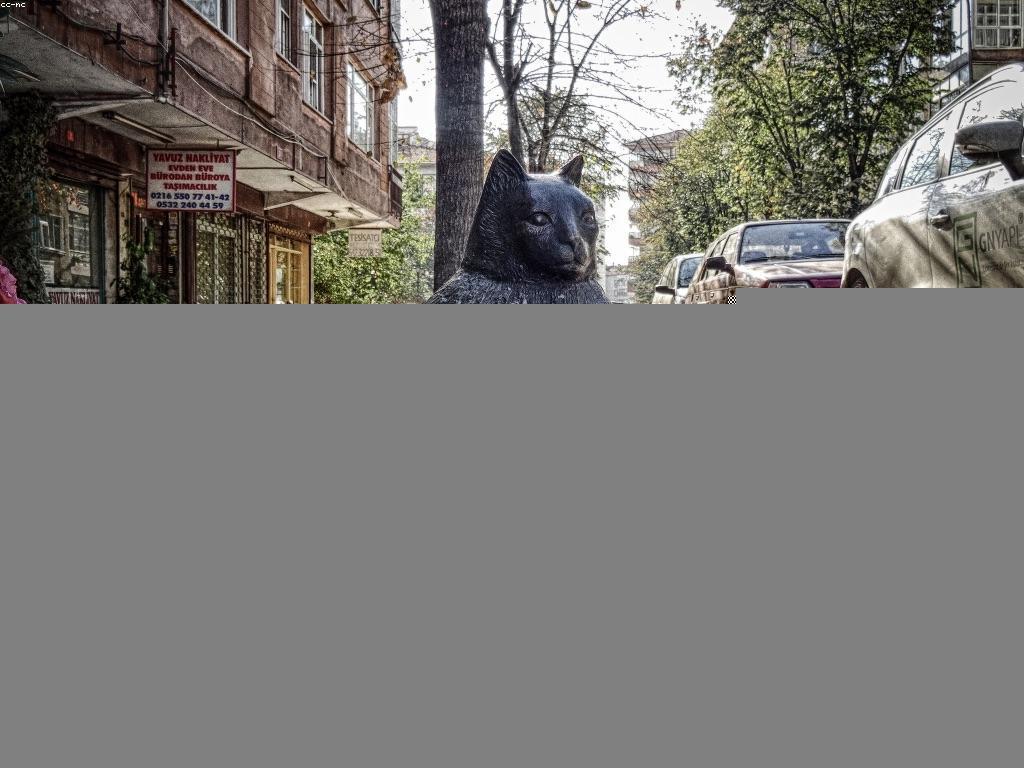 និន្នាការថ្មីៗនៃព័ត៌មាន: ជំហានដើម្បីឆ្លើយតបទៅនឹងការផ្លាស់ប្តូរ