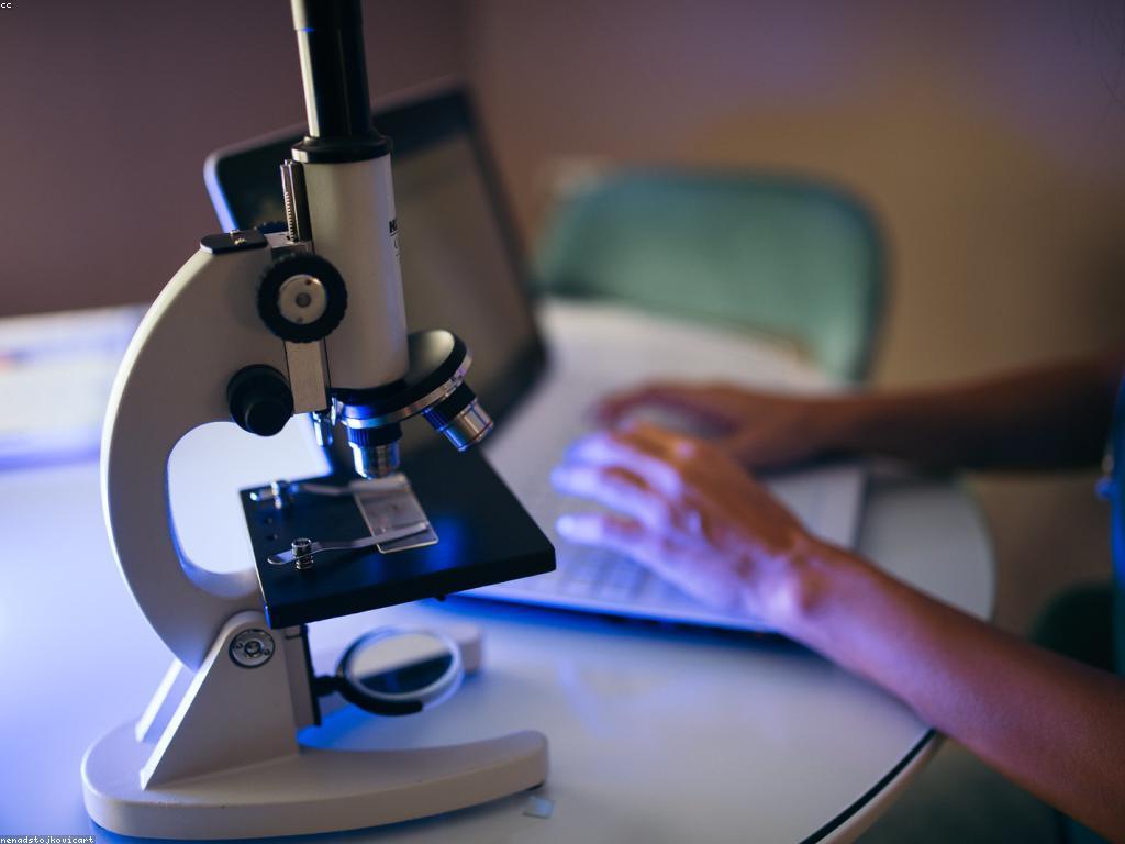 សំណួរញឹកញាប់អំពីសុខភាព