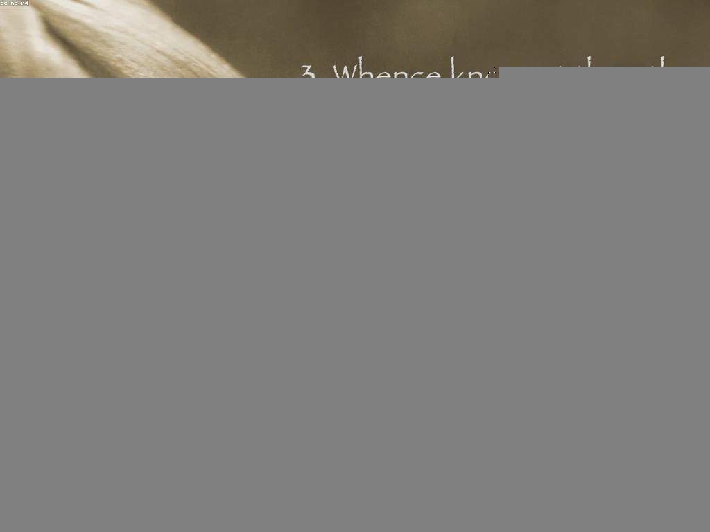 សំណួរញឹកញាប់អំពីជីវិតនិងភាពភ្ញាក់ផ្អើល